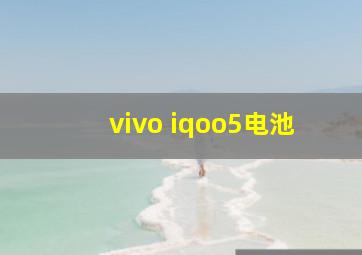 vivo iqoo5电池